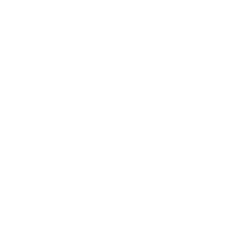 Batterie-Service