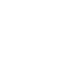 Hauptuntersuchung